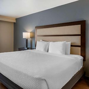 King Room Disability Access